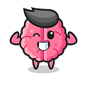 brain