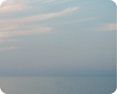 Sea